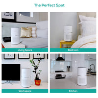 HEPA Air Purifier with UV-C Light